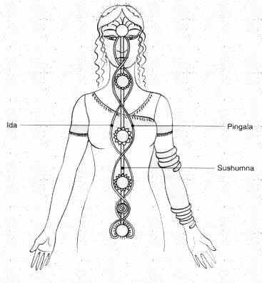 La posizione dei chakra